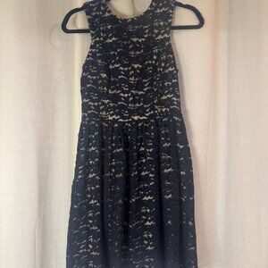 Women’s Black Ivy+Blu Dress